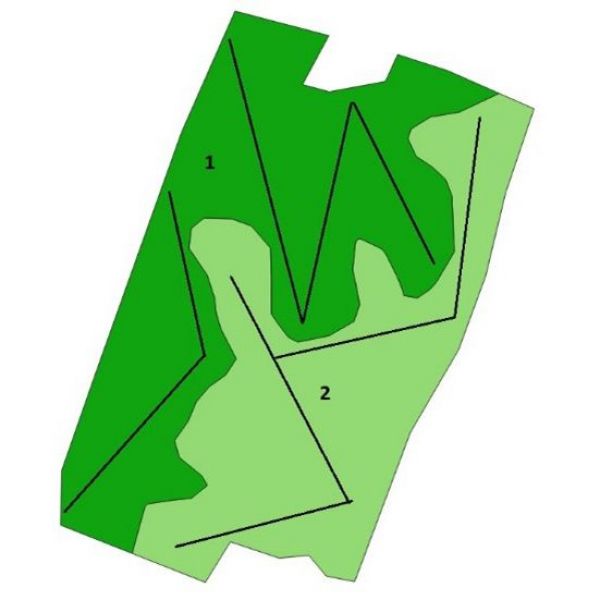 Zone-Sampling.jpg